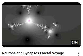 Neurons And Synapses Fractal Voyage